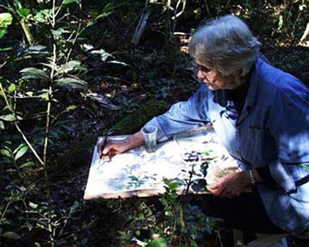 Shirley Felts